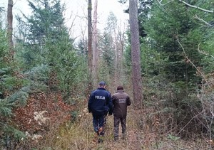 Policjant i strażnik leśny podczas patrolu terenów leśnych