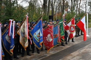 Poczty sztandarowe w trakcie uroczystości 11listopada