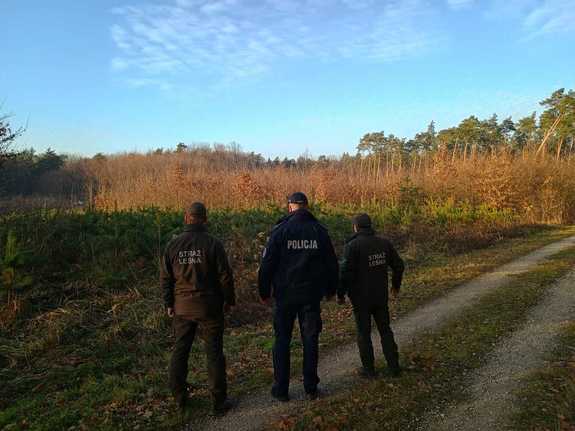 Policjant wraz ze Strażnikami Leśnymi kontrolują tereny leśne